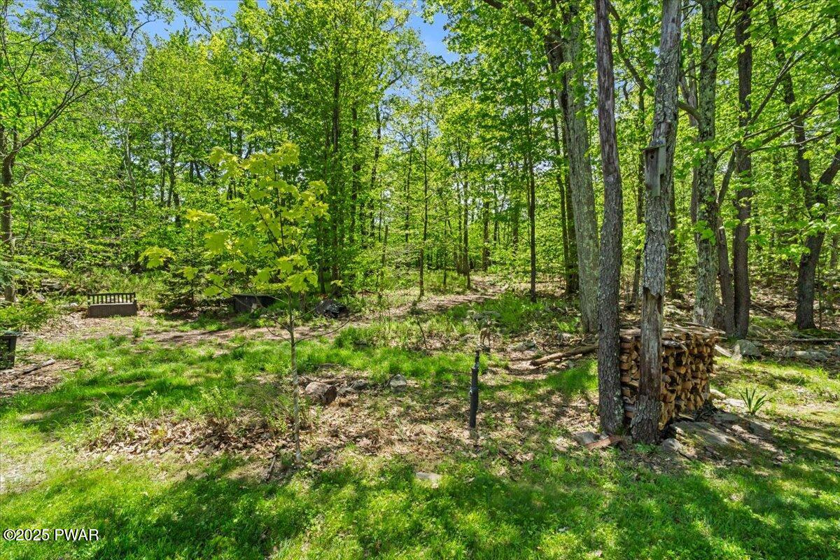 127 Timber Lake Drive, Canadensis, Pennsylvania image 41