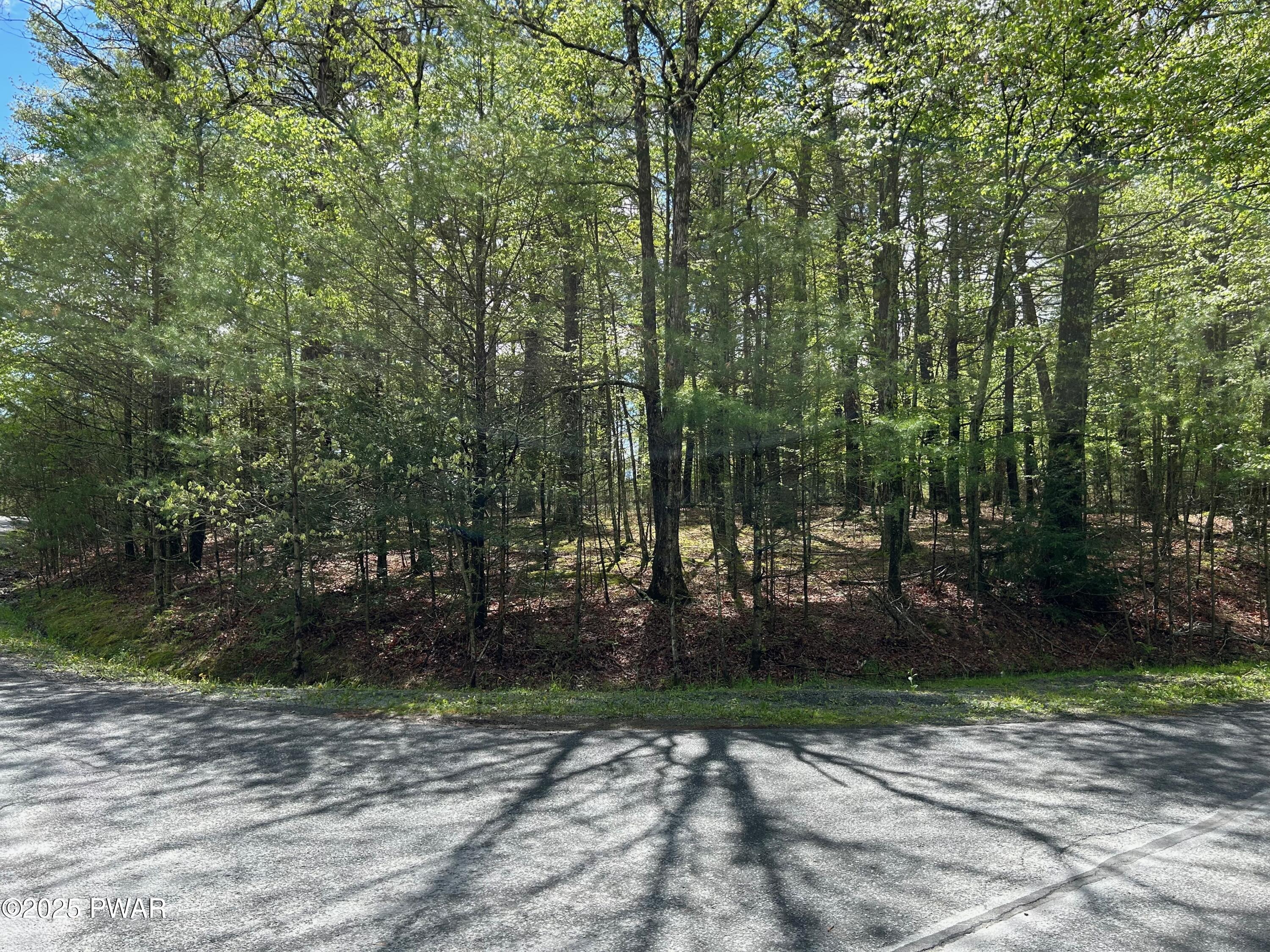 Lot 28 Traces Of Lattimore, Dingmans Ferry, Pennsylvania image 5