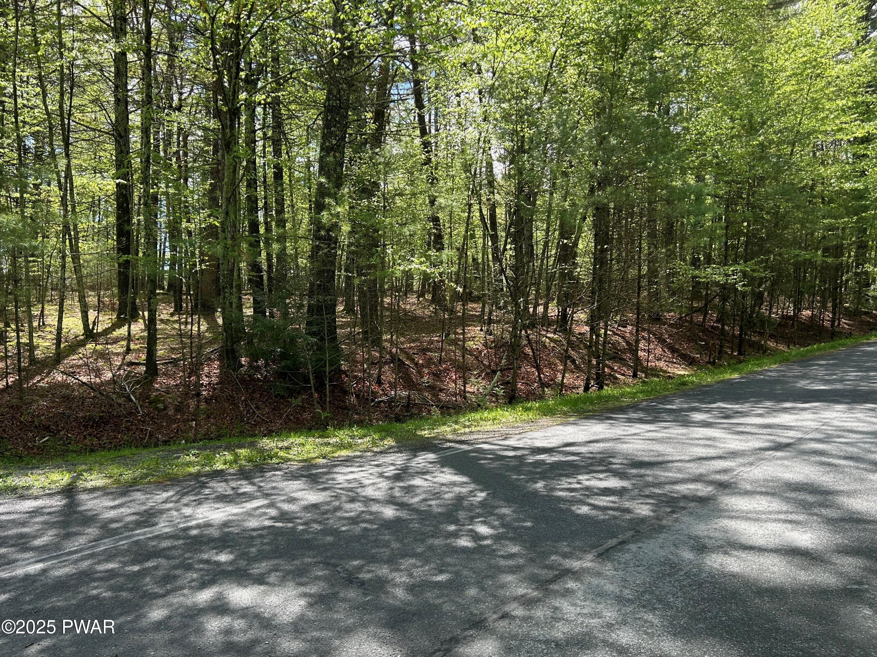 Lot 28 Traces Of Lattimore, Dingmans Ferry, Pennsylvania image 2