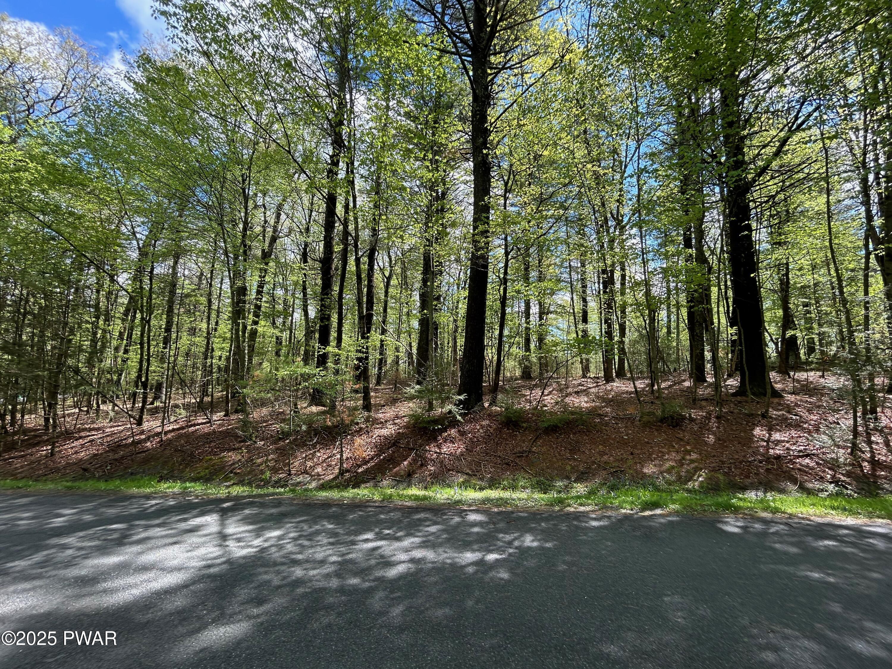 Lot 28 Traces Of Lattimore, Dingmans Ferry, Pennsylvania image 7
