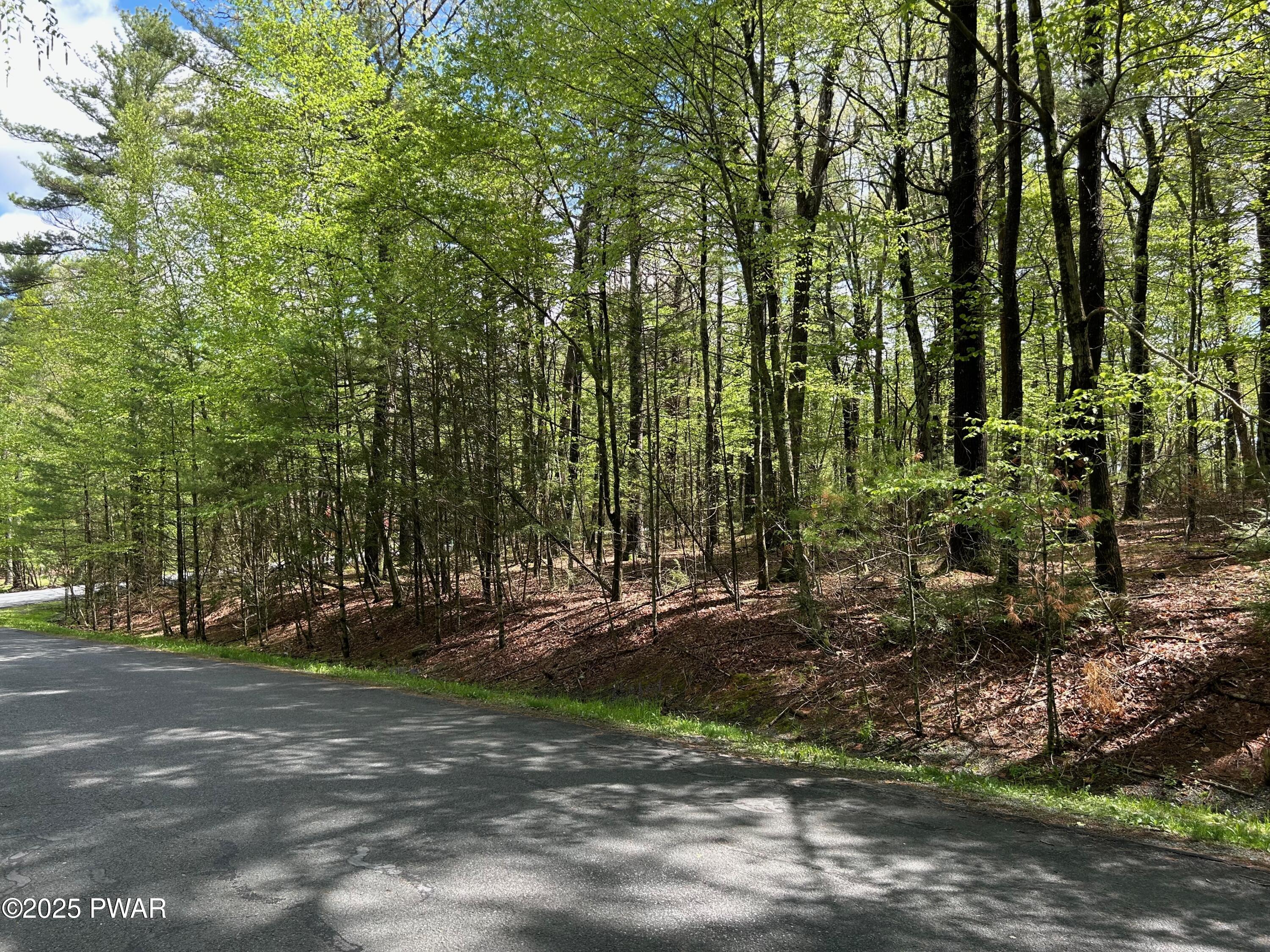 Lot 28 Traces Of Lattimore, Dingmans Ferry, Pennsylvania image 6