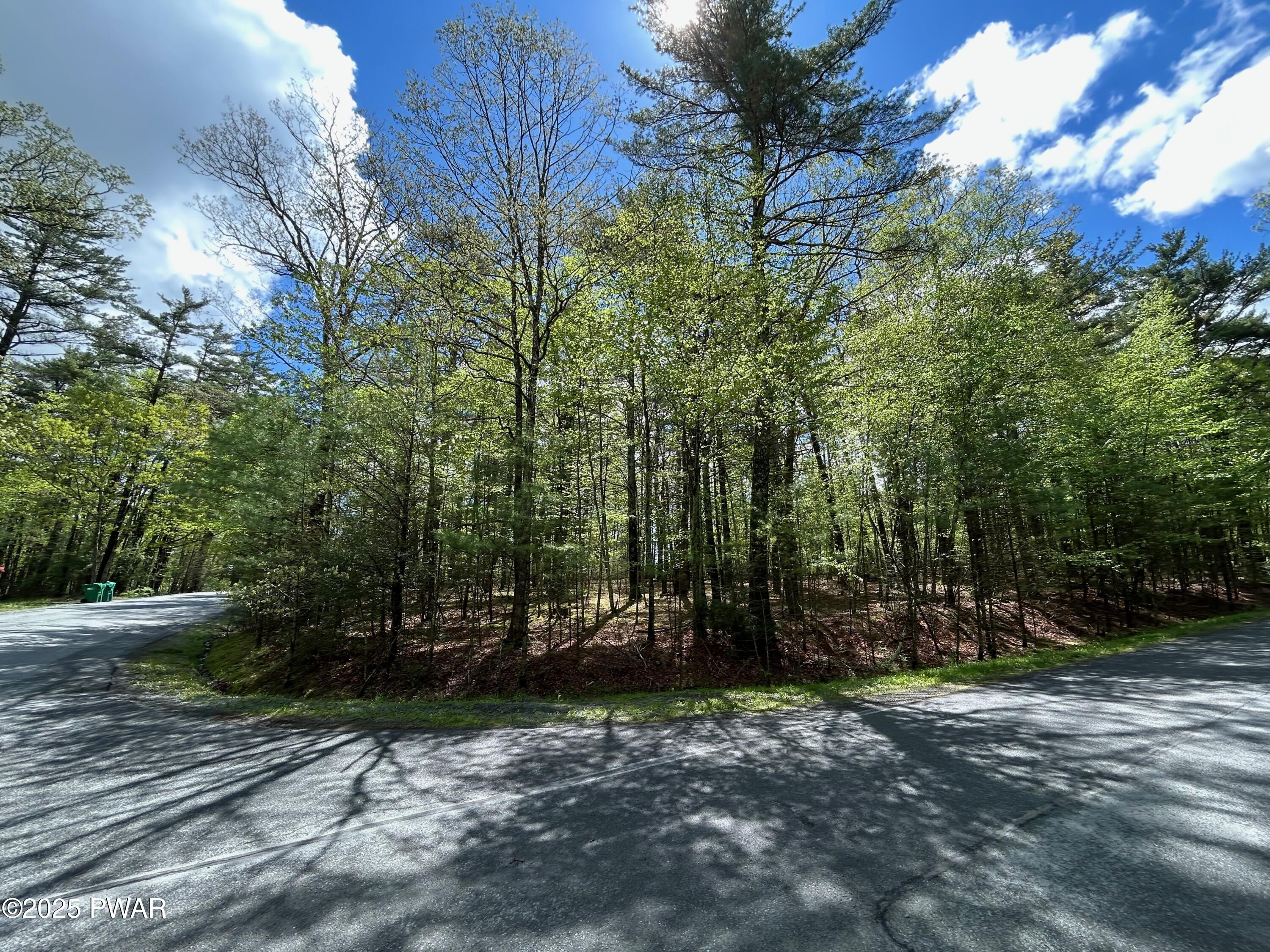Lot 28 Traces Of Lattimore, Dingmans Ferry, Pennsylvania image 1