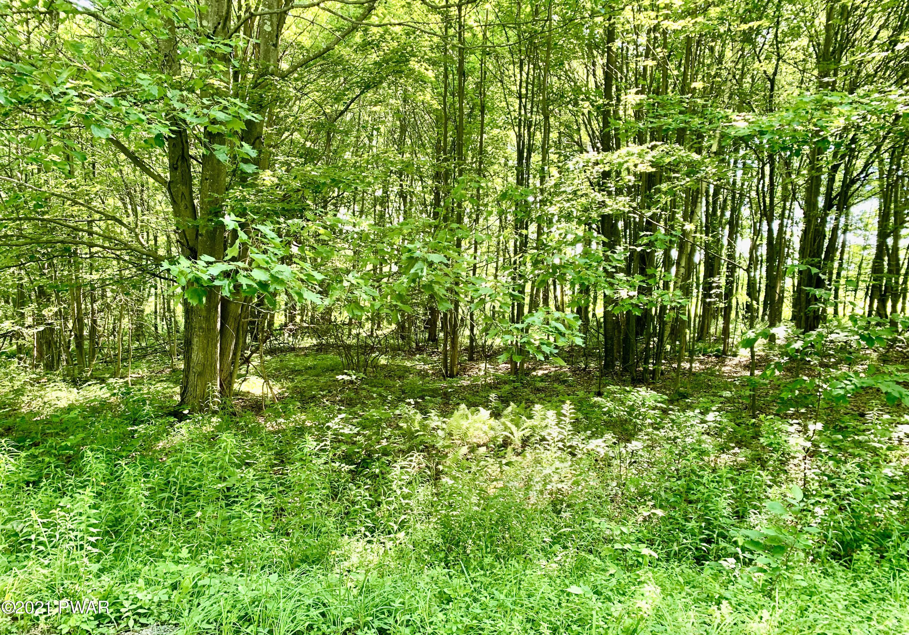 212 C Dixon Valley Road, Pleasant Mount, Pennsylvania image 4
