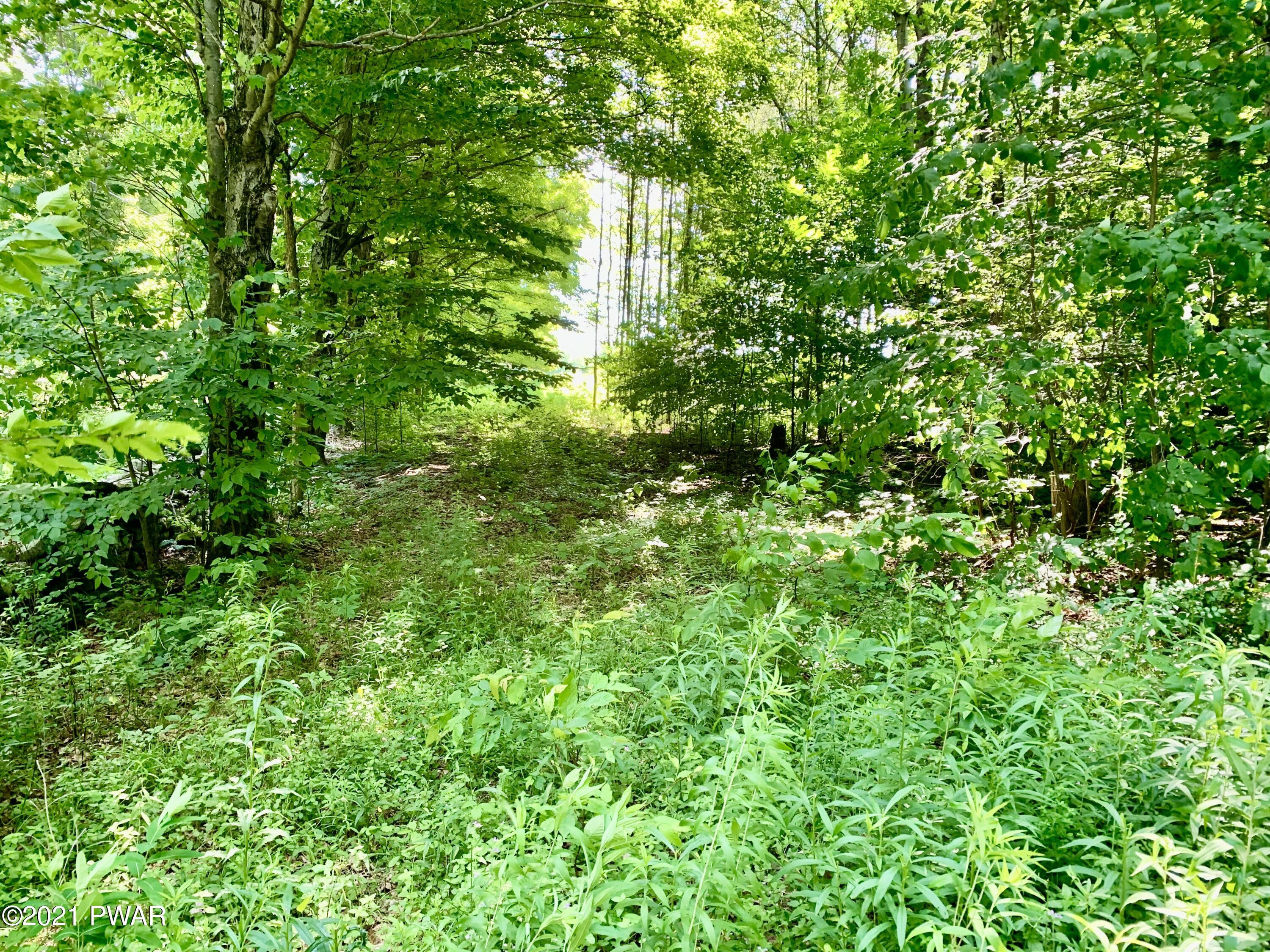 212 C Dixon Valley Road, Pleasant Mount, Pennsylvania image 3