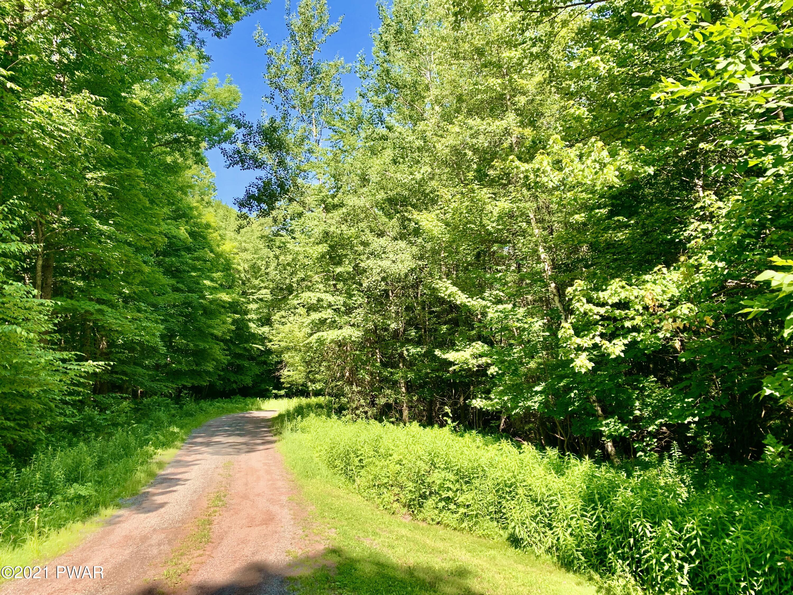 212 C Dixon Valley Road, Pleasant Mount, Pennsylvania image 1
