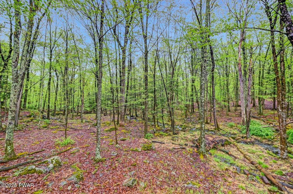 Photo of 806 Pioneer Drive, Lackawaxen, PA 18435 (MLS # PW260921)