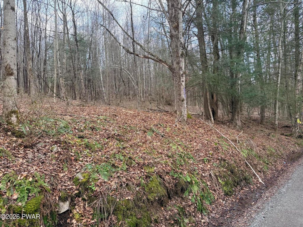 Photo of Osweld Johnson Road, Clifford Twp, PA 18441 (MLS # PW260802)