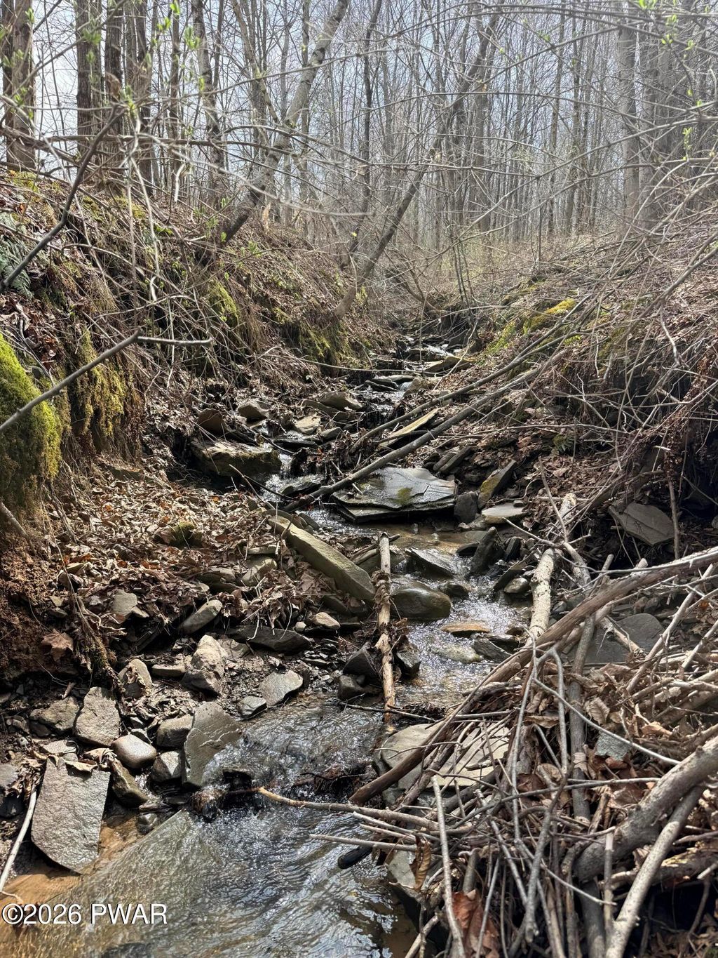 Photo of Osweld Johnson Road, Clifford Twp, PA 18441 (MLS # PW260802)