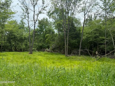 Vacant Land For Sale - Beaver Hollow Road<br/> Wayne County, Lakewood, PA 18439