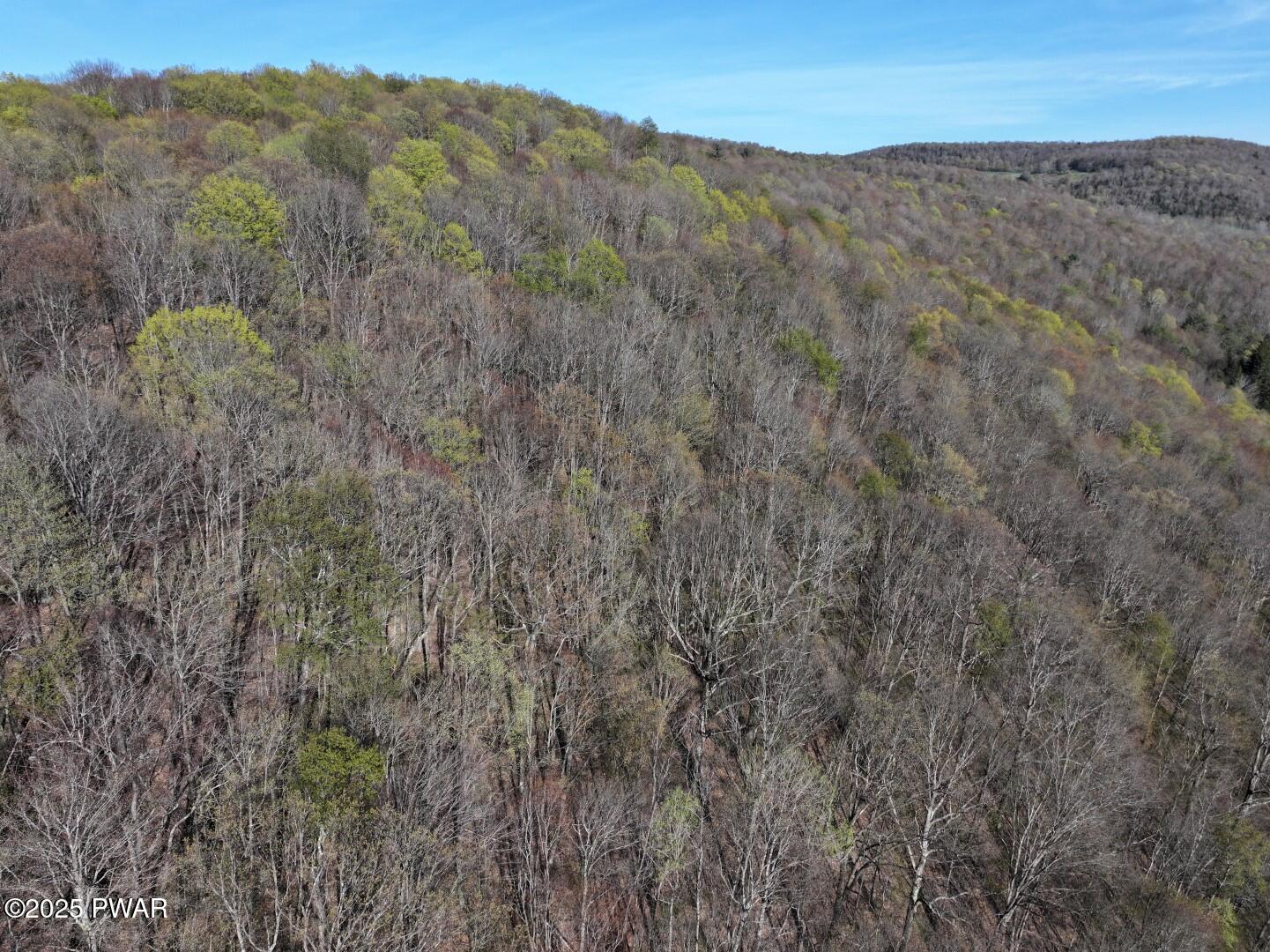 7697 Starrucca Creek Road, Susquehanna, Pennsylvania image 17
