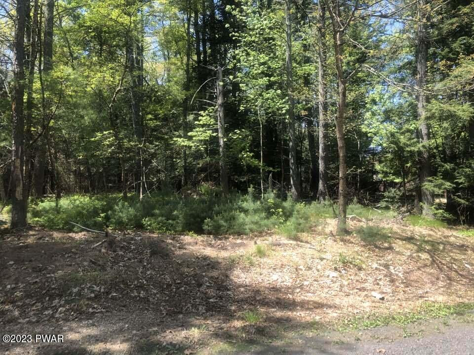 Lot 4 Mountainview Road, Milford, Pennsylvania image 6