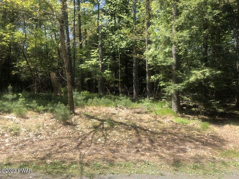 Lot 4 Mountainview Road, Milford, Pennsylvania image 5