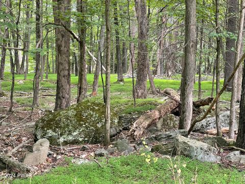 Vacant Land For Sale - Lot 568 Sunrise Trail<br/> Hawley, PA 18428