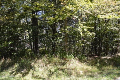 Vacant Land For Sale - LOT 109 Snow Drift Road<br/> Newfoundland, PA 18445