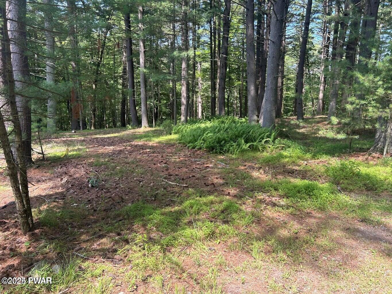 Lot 23 Circle Drive, Hawley, Pennsylvania image 9