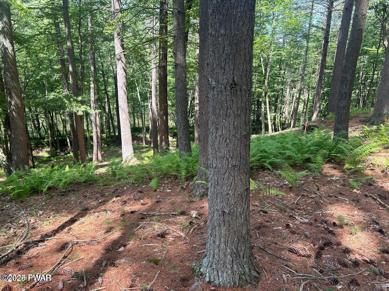 Lot 23 Circle Drive, Hawley, Pennsylvania image 11