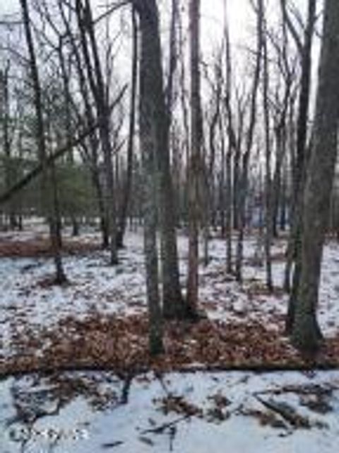 Vacant Land For Sale - Lot 897 Pico Lane<br/> Tafton, PA 18464