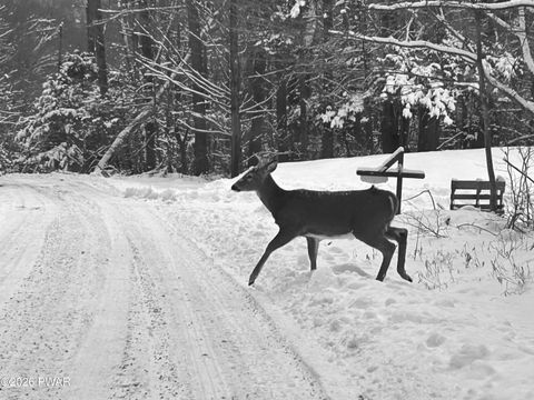 Vacant Land For Sale - LOT 15 Game Trail Drive<br/> Greentown, PA 18426