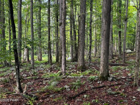 Vacant Land For Sale - 103 Elm Lane<br/> Greentown, PA 18426