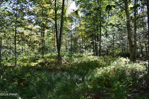 Vacant Land For Sale - LOT 111 Snow Drift Road<br/> Newfoundland, PA 18445