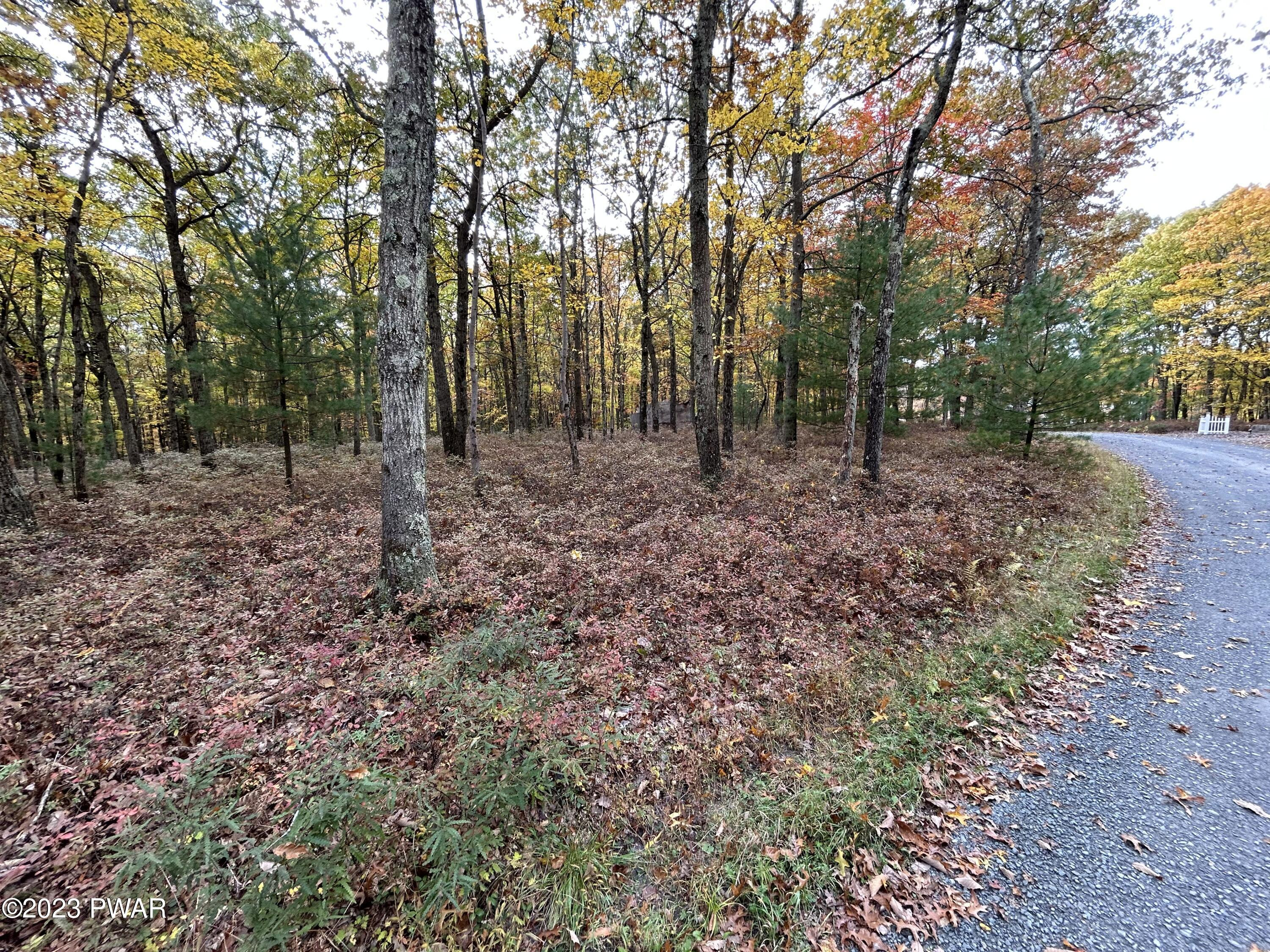 Lot 26 Timber Ridge Drive, Shohola, Pennsylvania image 7