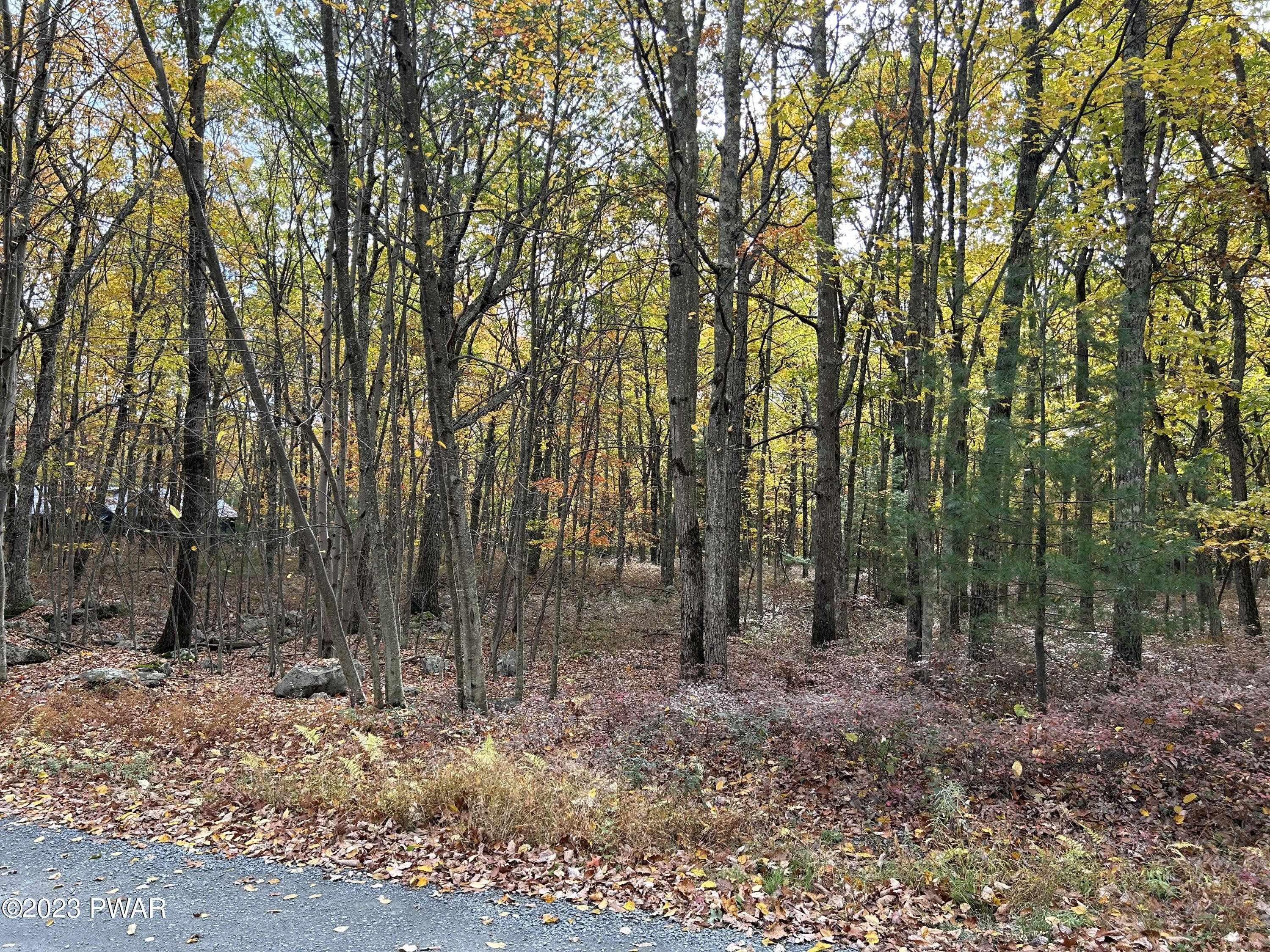 Lot 26 Timber Ridge Drive, Shohola, Pennsylvania image 15