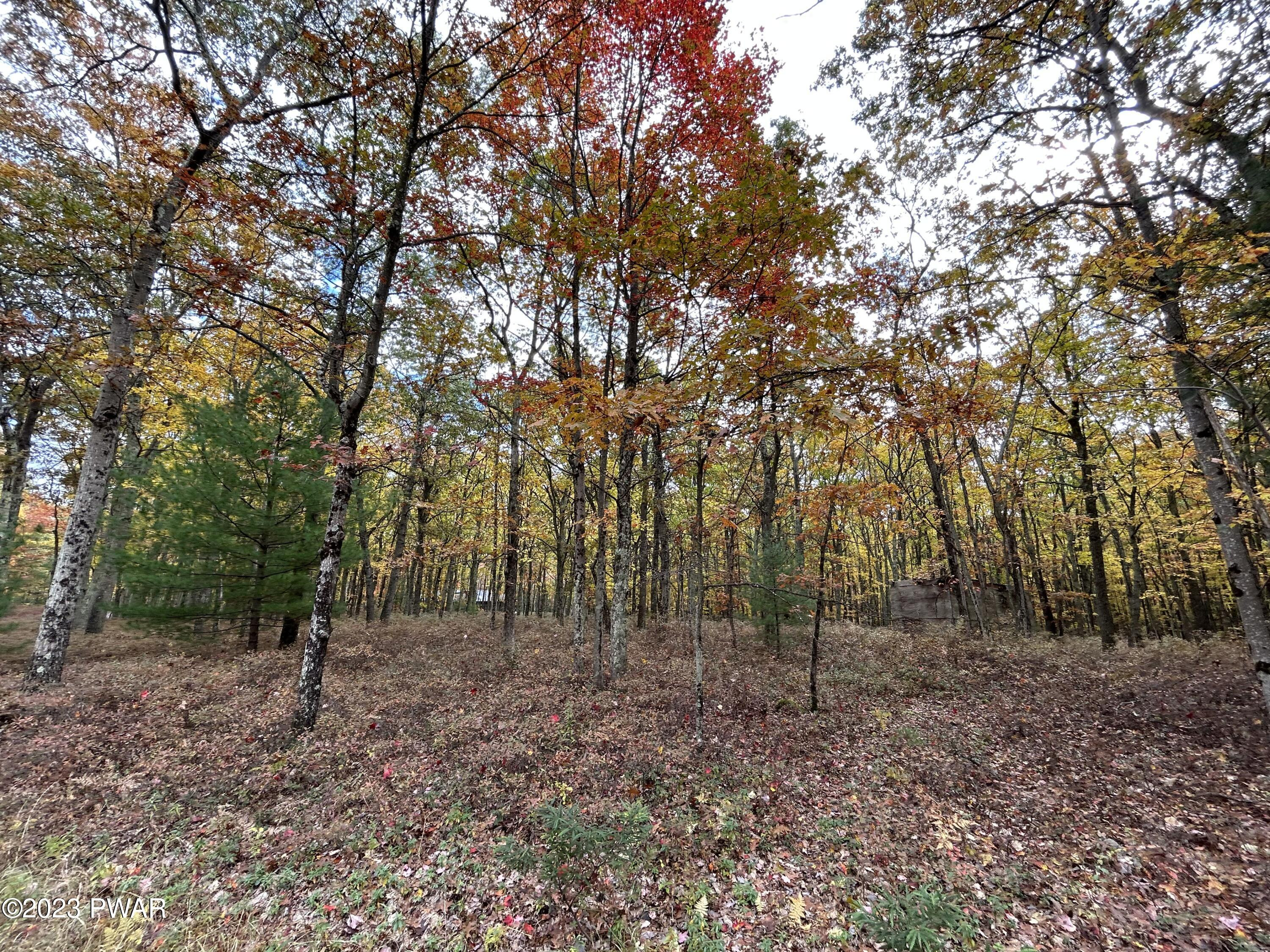 Lot 26 Timber Ridge Drive, Shohola, Pennsylvania image 9