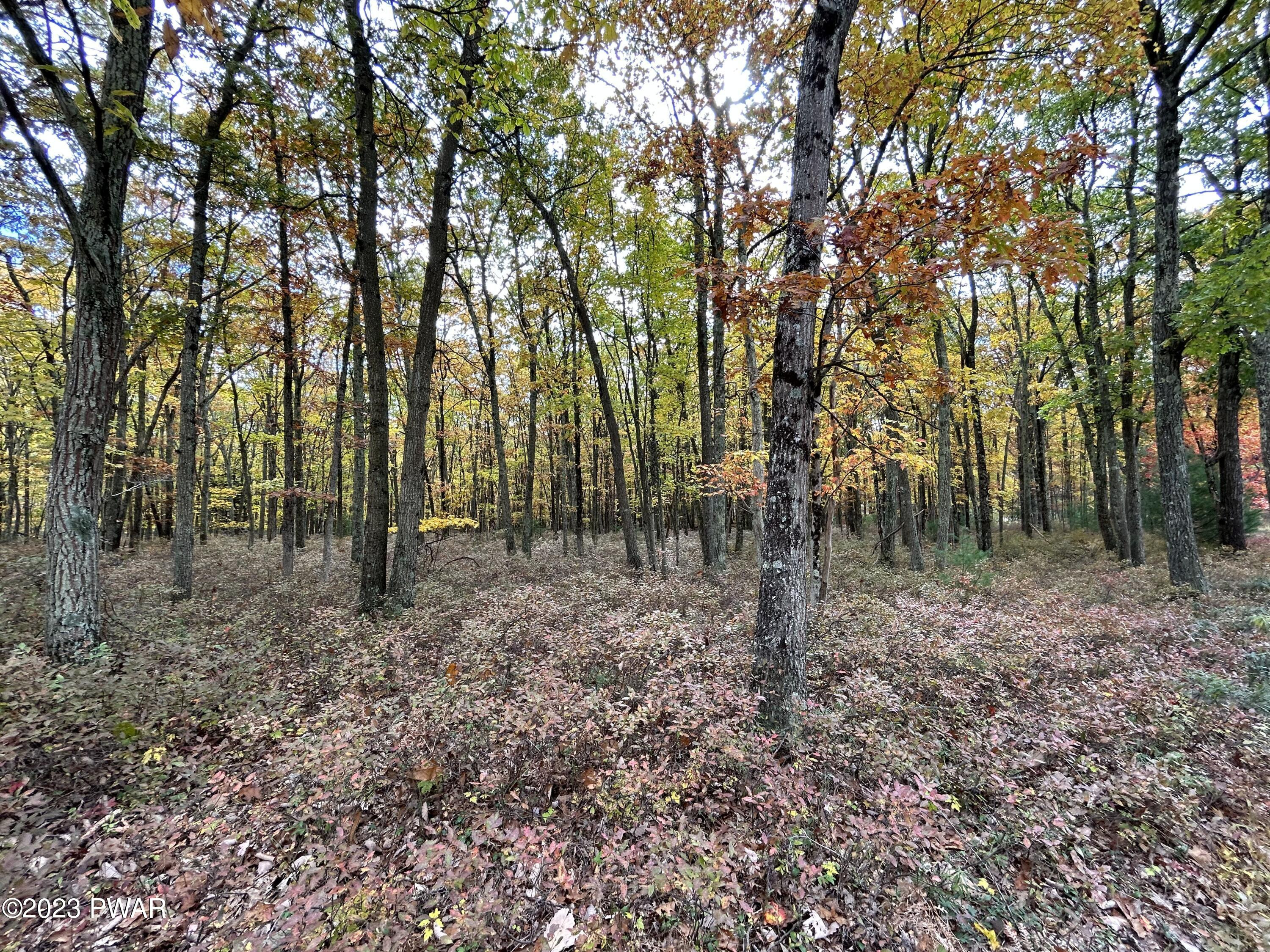 Lot 26 Timber Ridge Drive, Shohola, Pennsylvania image 11