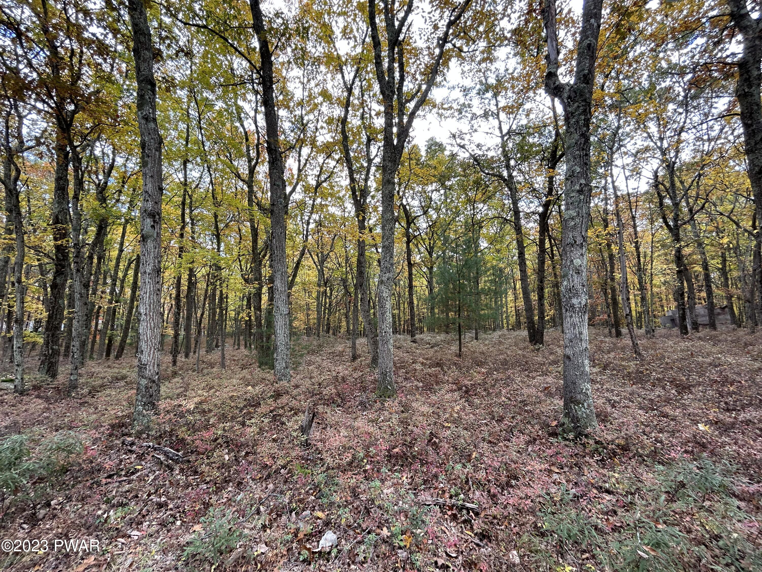 Lot 26 Timber Ridge Drive, Shohola, Pennsylvania image 5