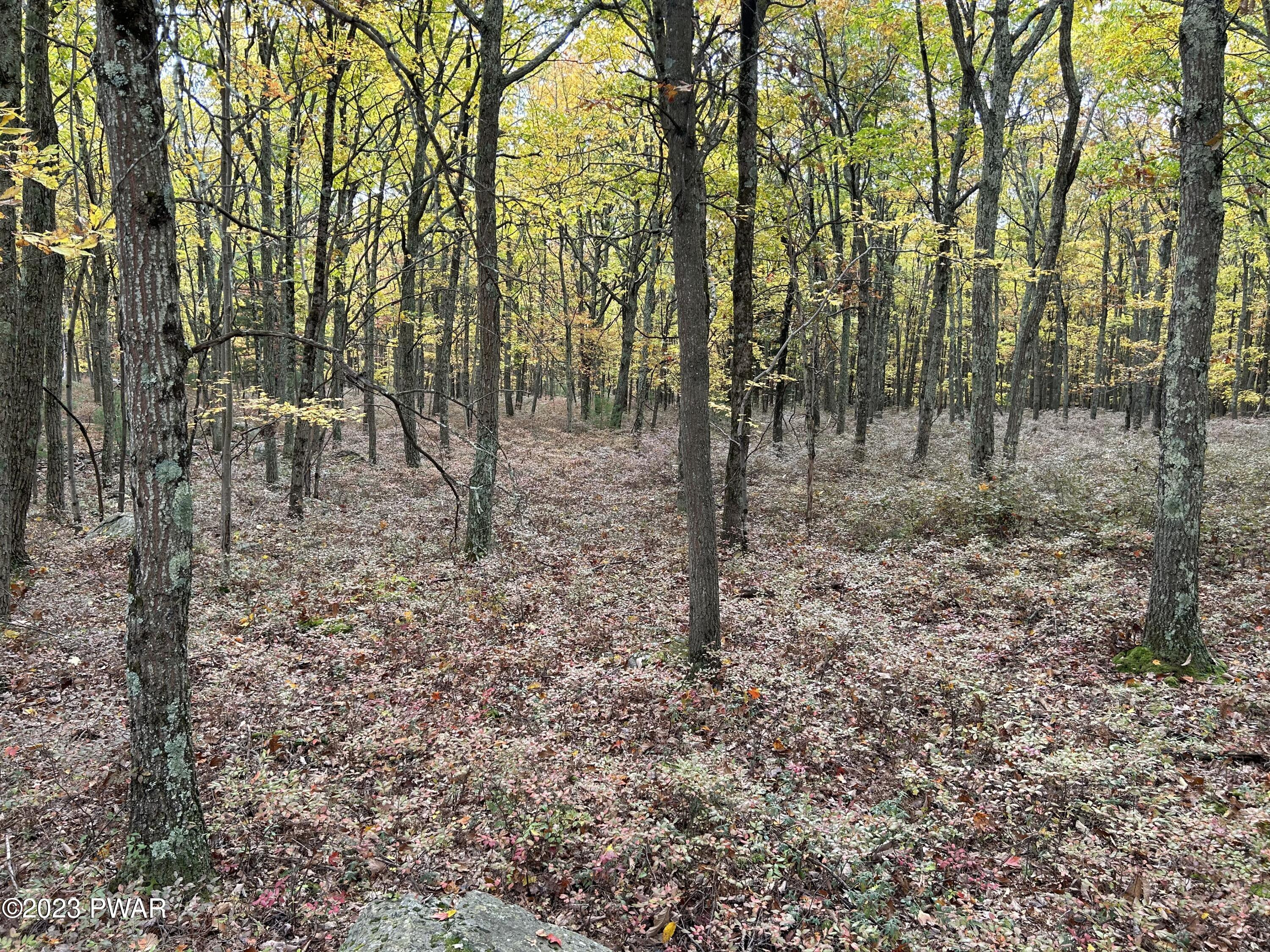 Lot 26 Timber Ridge Drive, Shohola, Pennsylvania image 13