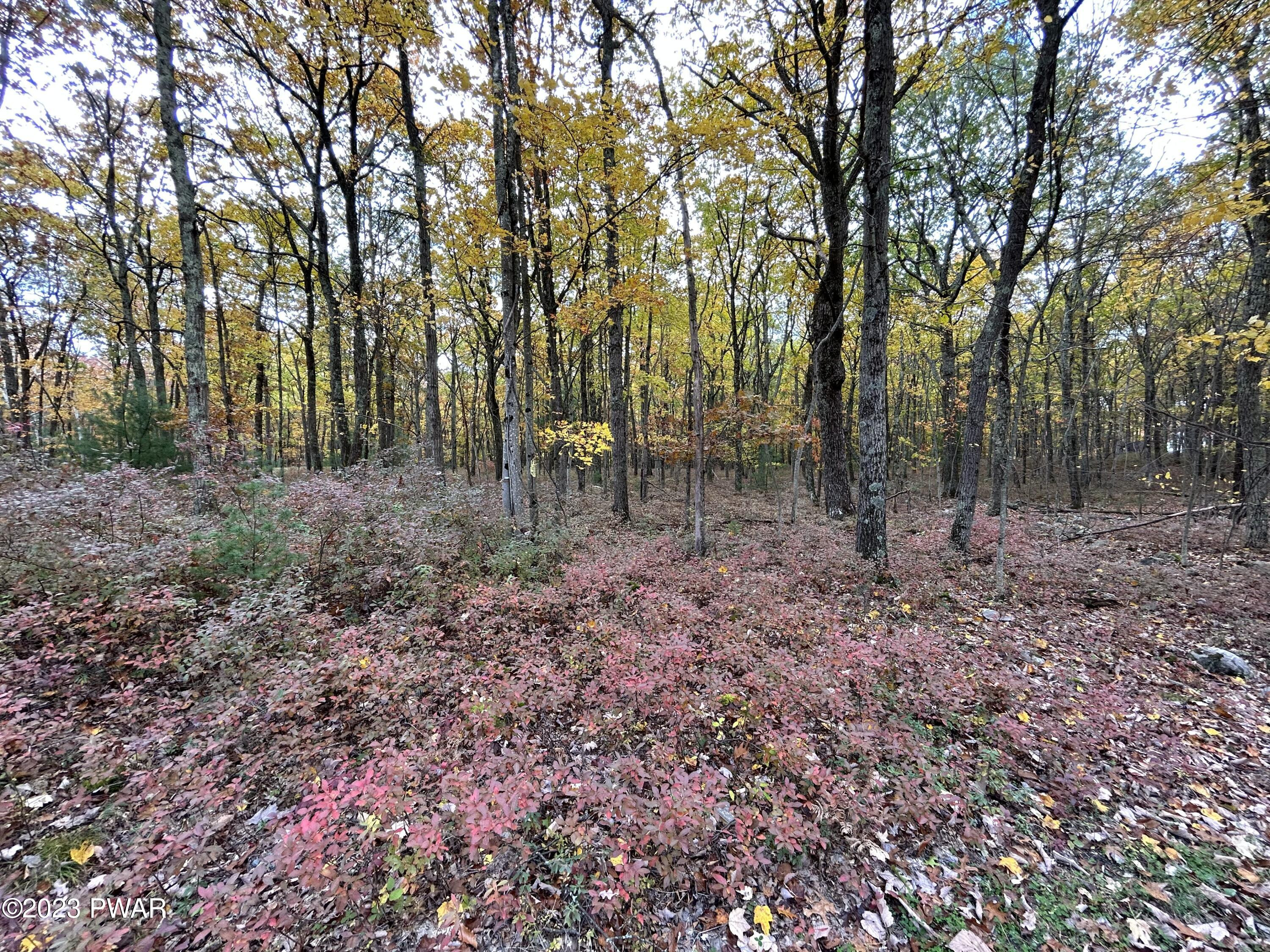 Lot 26 Timber Ridge Drive, Shohola, Pennsylvania image 1