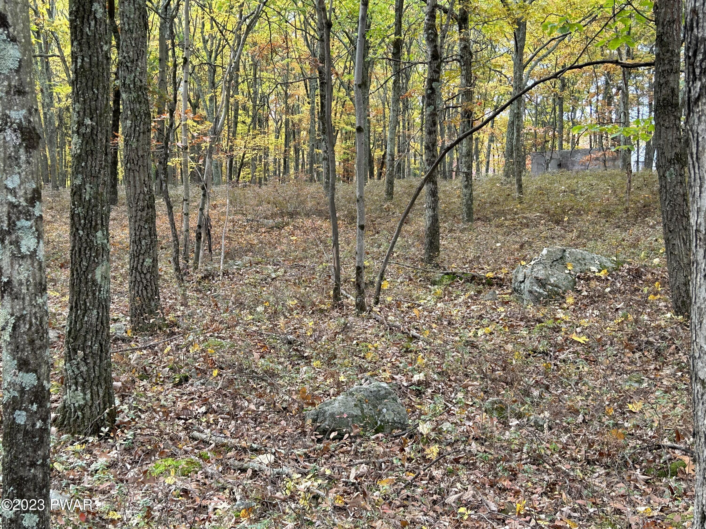 Lot 26 Timber Ridge Drive, Shohola, Pennsylvania image 16