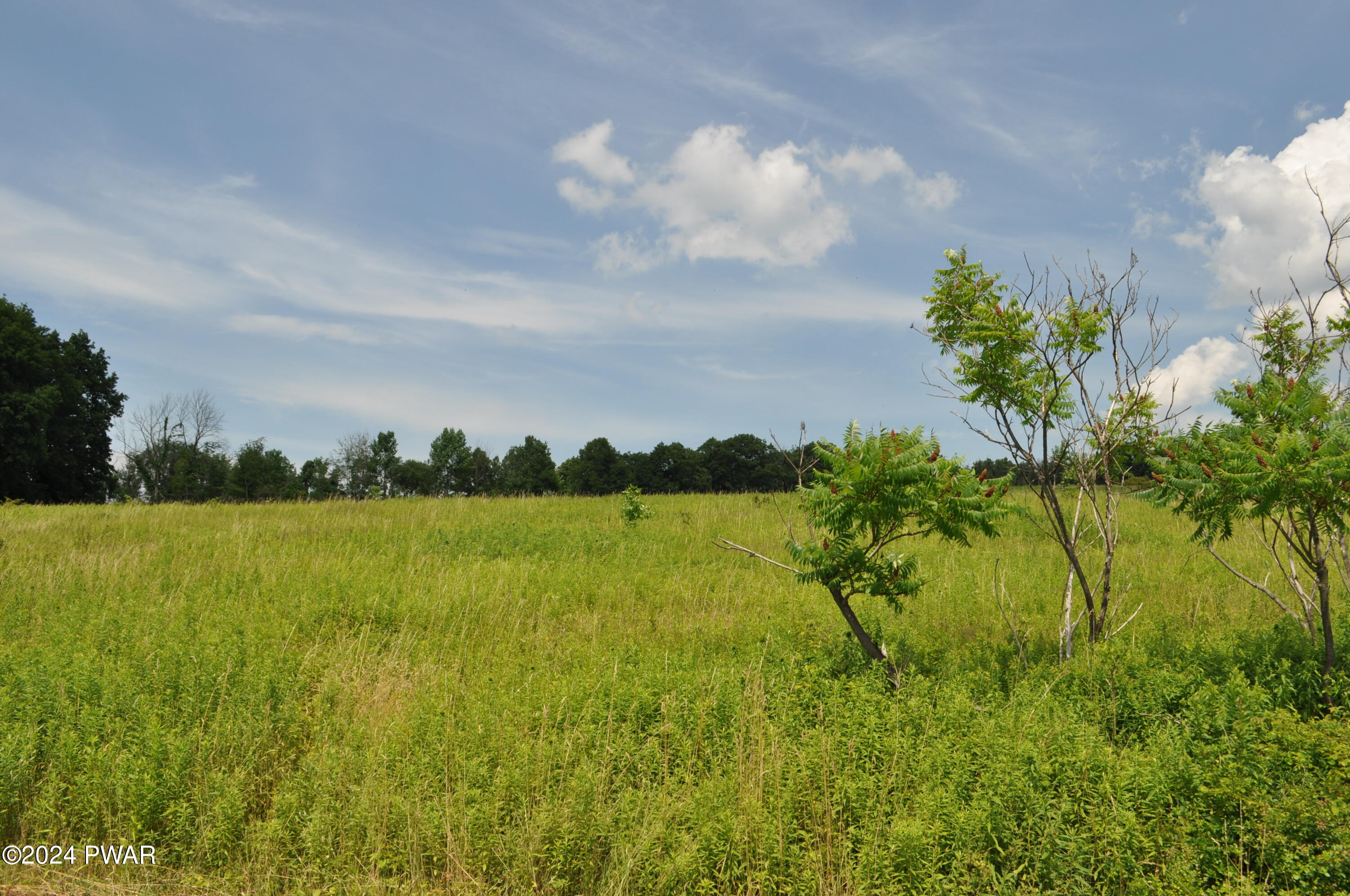 Mid Valley Road, Lake Ariel, Pennsylvania image 11