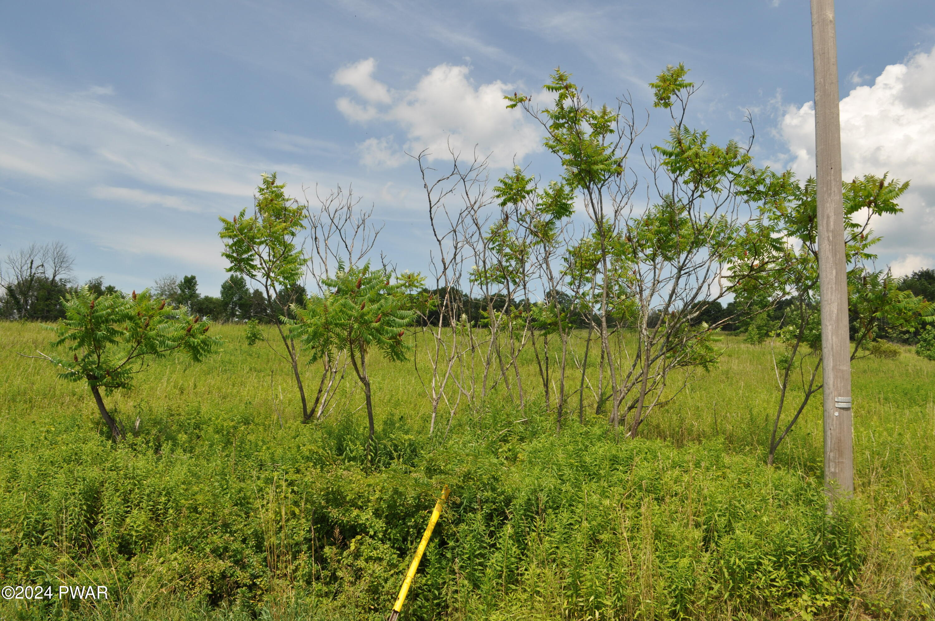 Mid Valley Road, Lake Ariel, Pennsylvania image 5