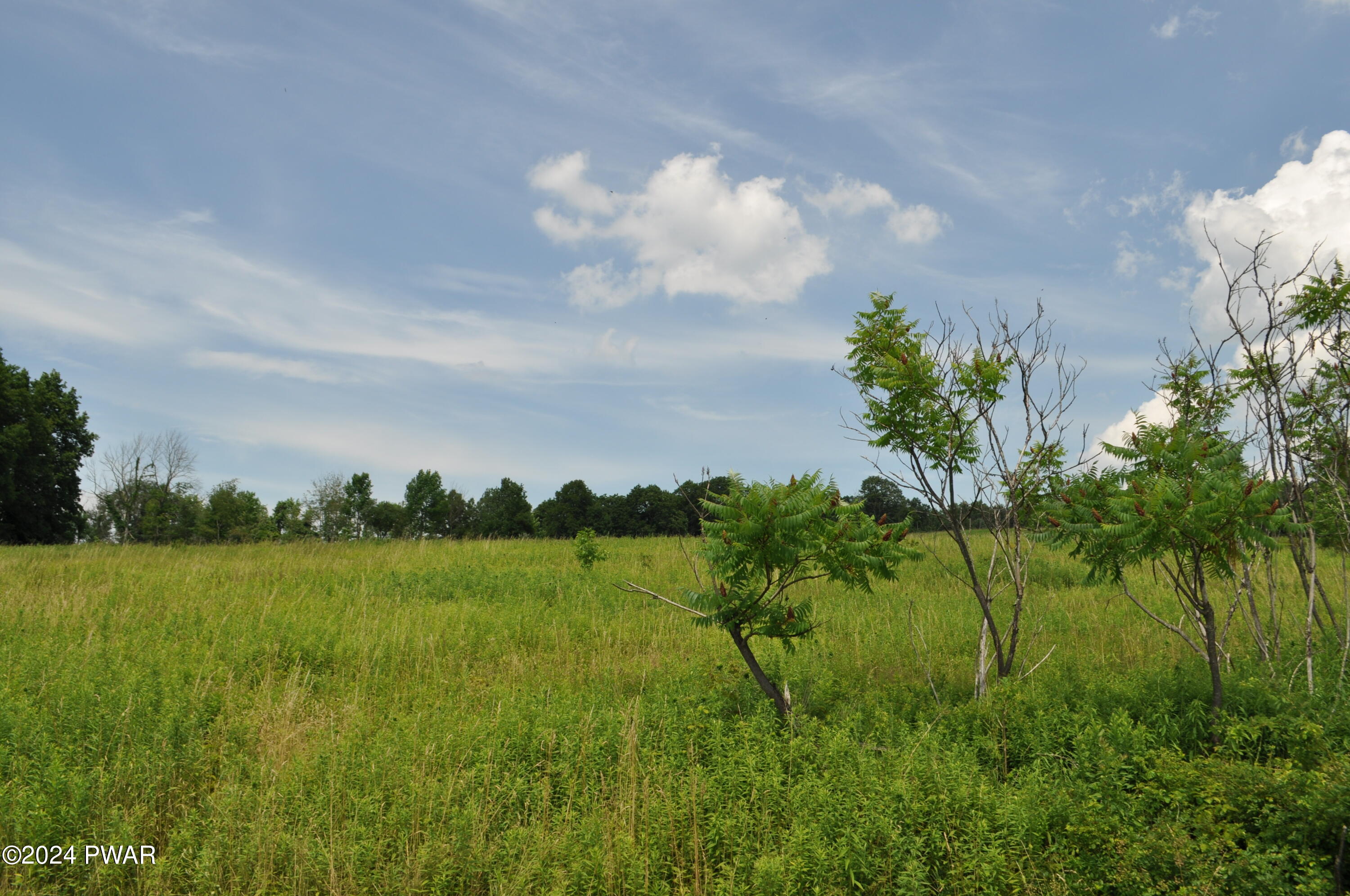 Mid Valley Road, Lake Ariel, Pennsylvania image 4