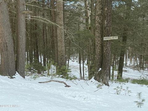 Vacant Land For Sale - Watermill Road<br/> Pike County, Paupack, PA 18451