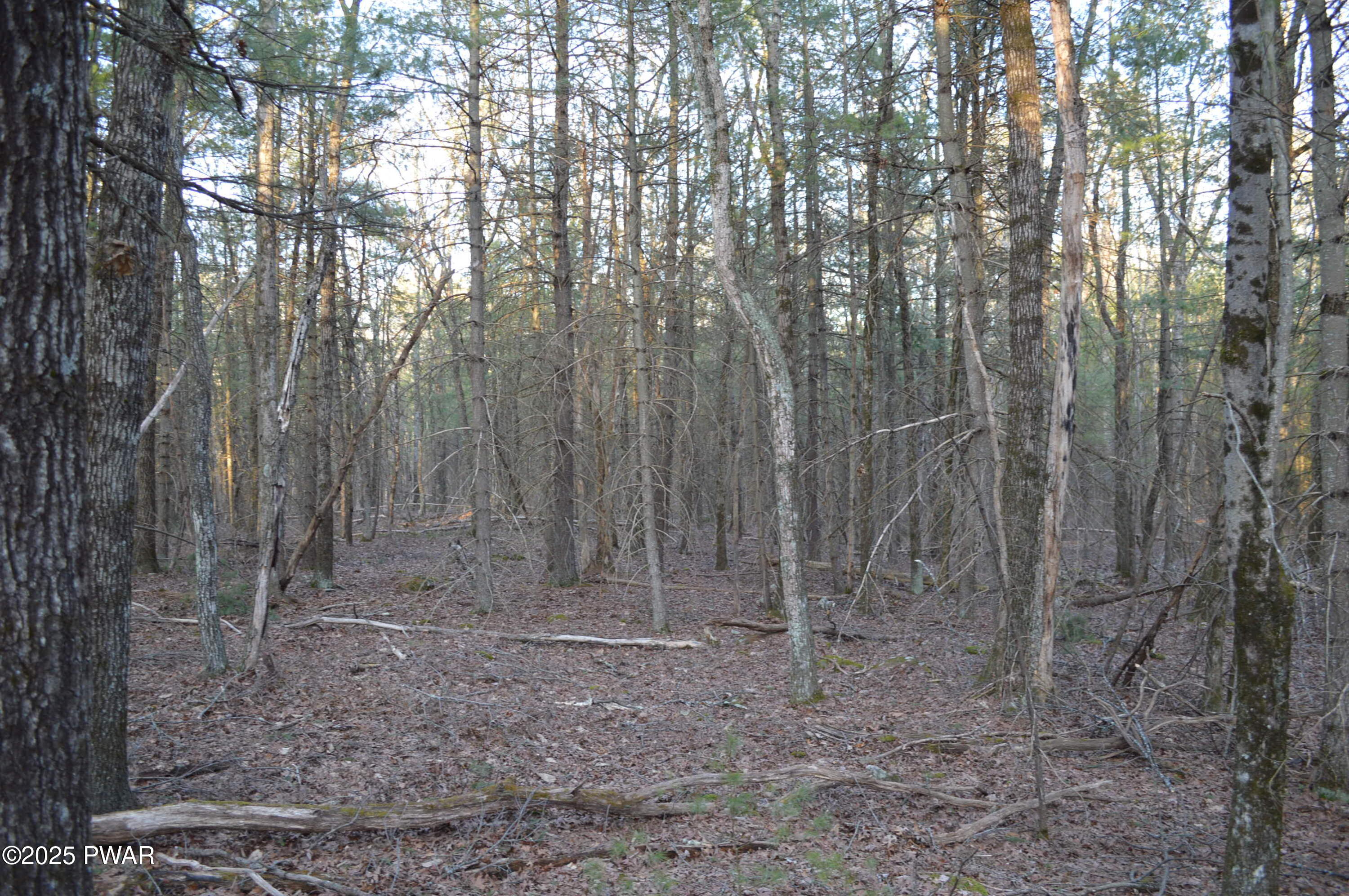 174 Neil Thompson Road, Lackawaxen, Pennsylvania image 34