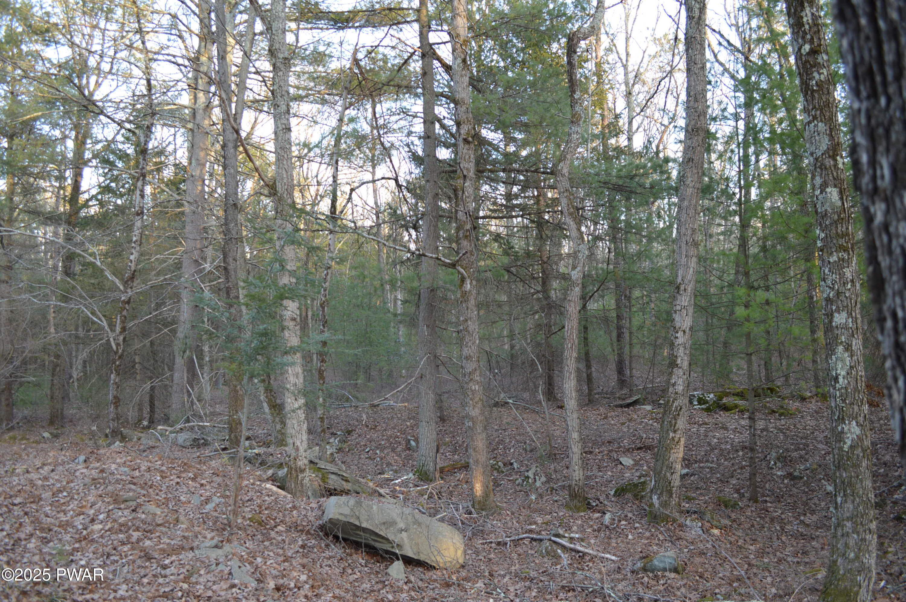 174 Neil Thompson Road, Lackawaxen, Pennsylvania image 35