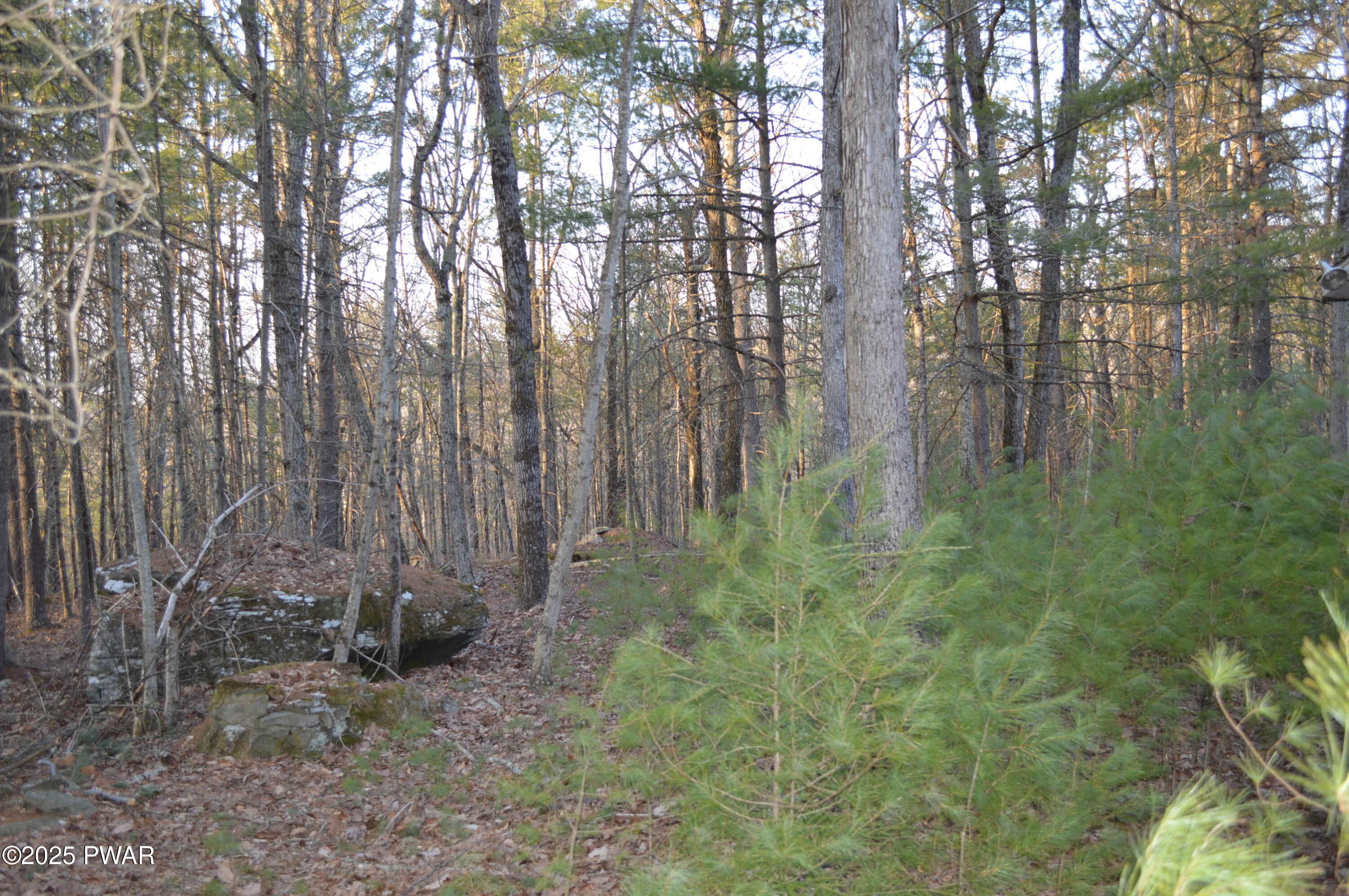 174 Neil Thompson Road, Lackawaxen, Pennsylvania image 36