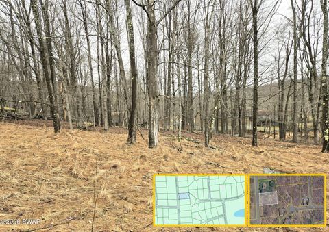 Vacant Land For Sale - LOT 697 Black Bear Road<br/> Wayne County, Lake Ariel, PA 18436