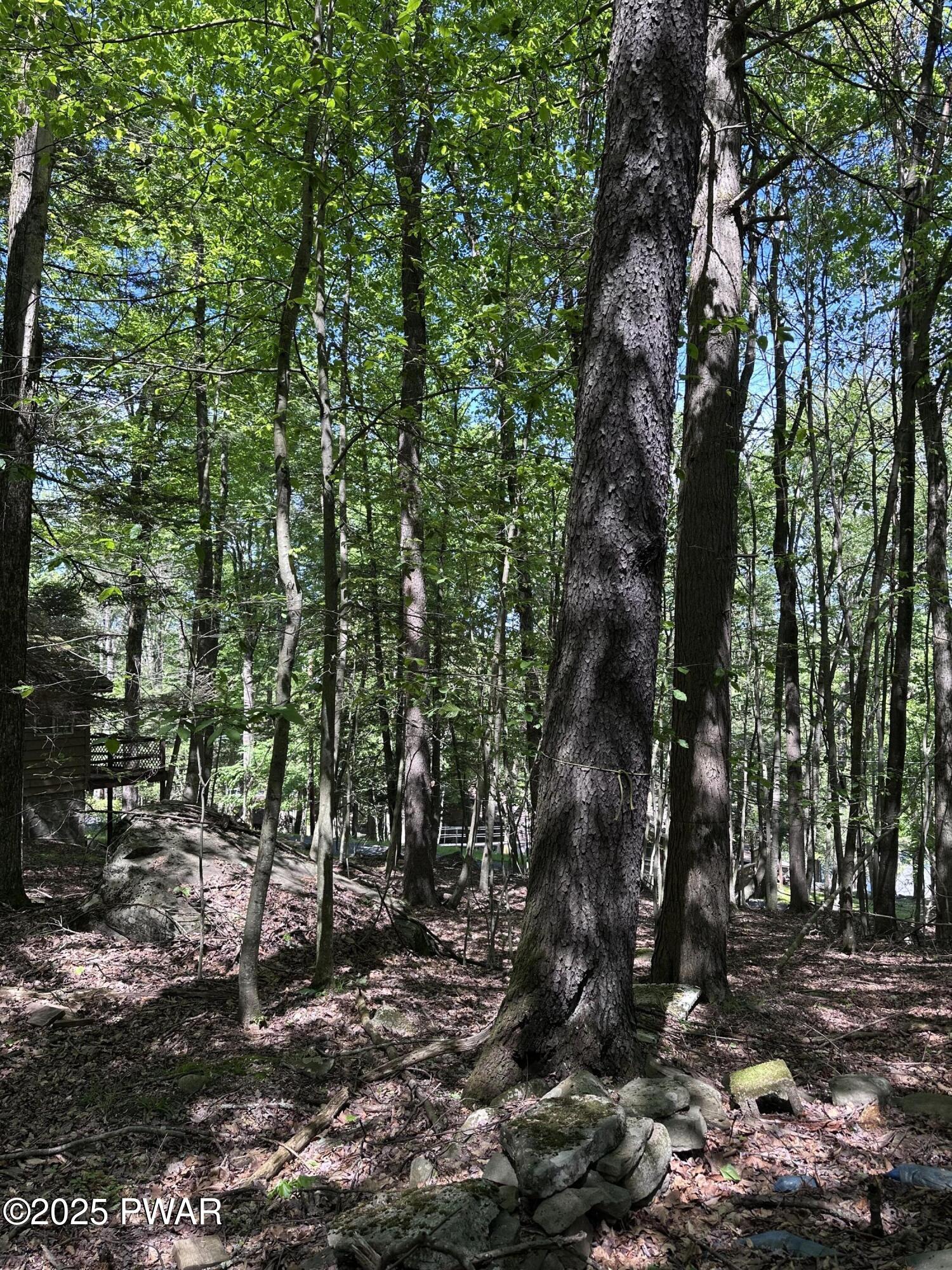 77 Deerfoot Road, Lake Ariel, Pennsylvania image 16