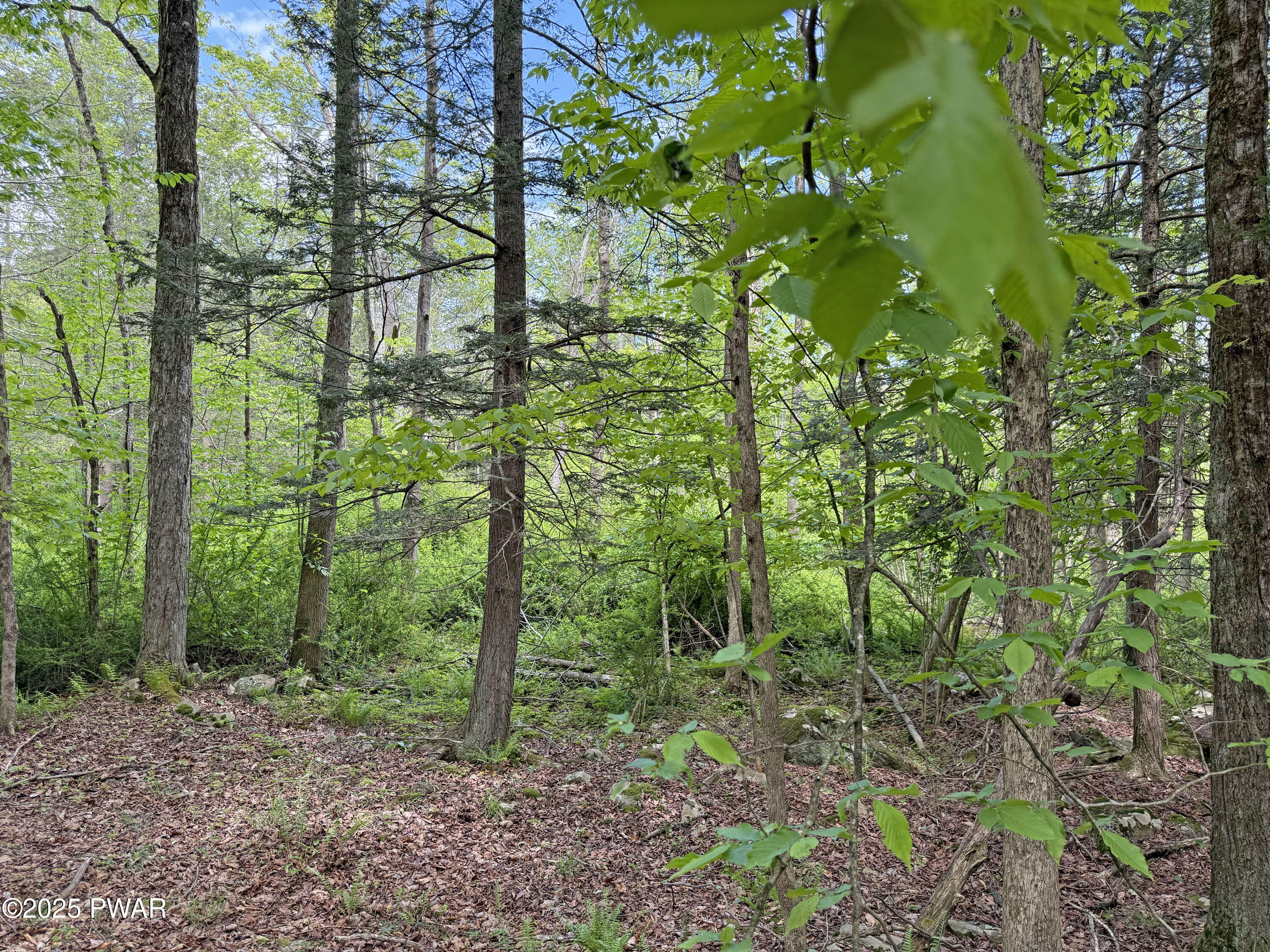 56-63 Wellington Drive, Newfoundland, Pennsylvania image 10