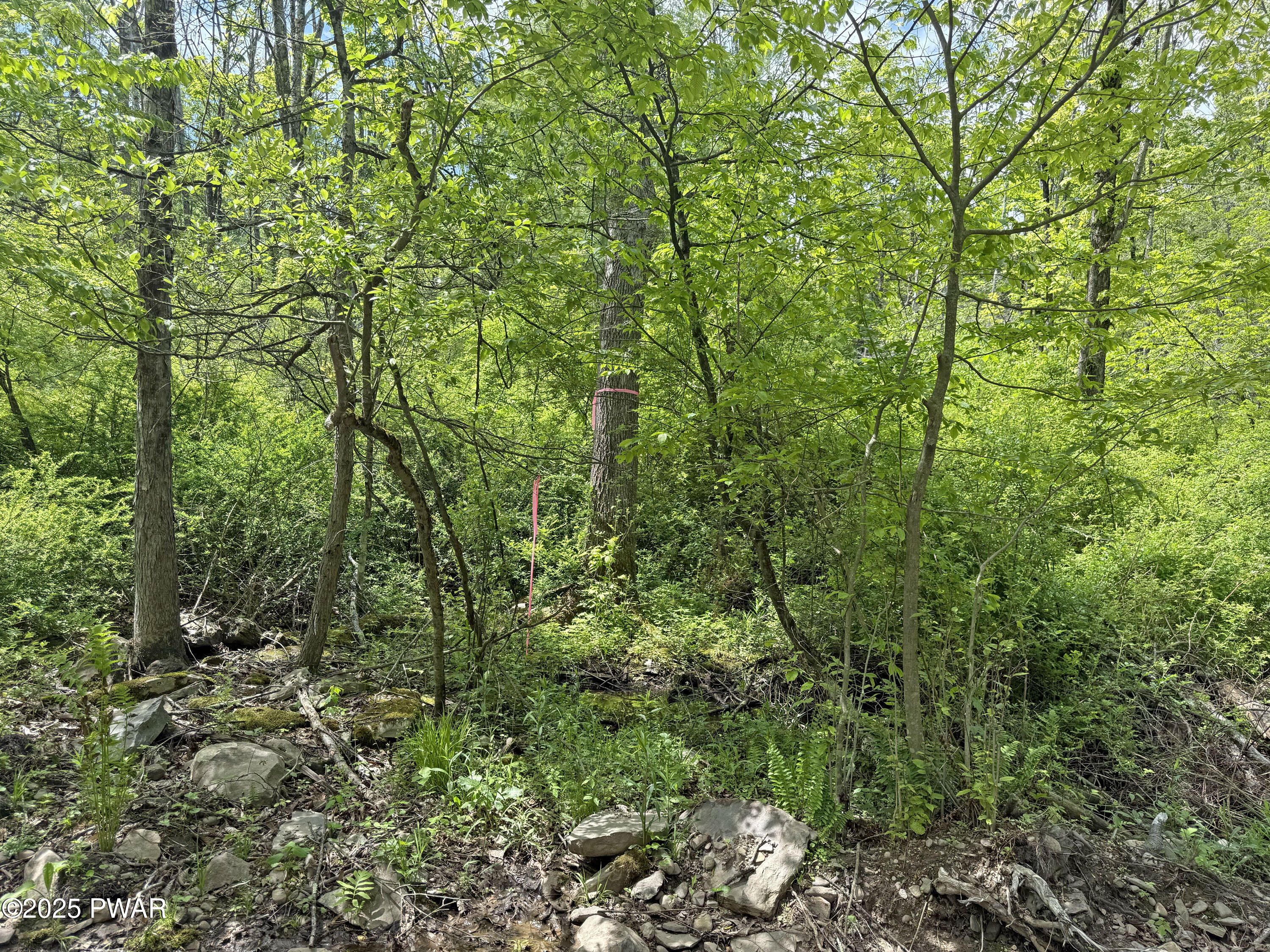 56-63 Wellington Drive, Newfoundland, Pennsylvania image 15