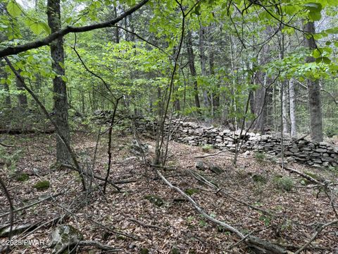 Vacant Land For Sale - 56-63 Wellington Drive<br/> Newfoundland, PA 18445
