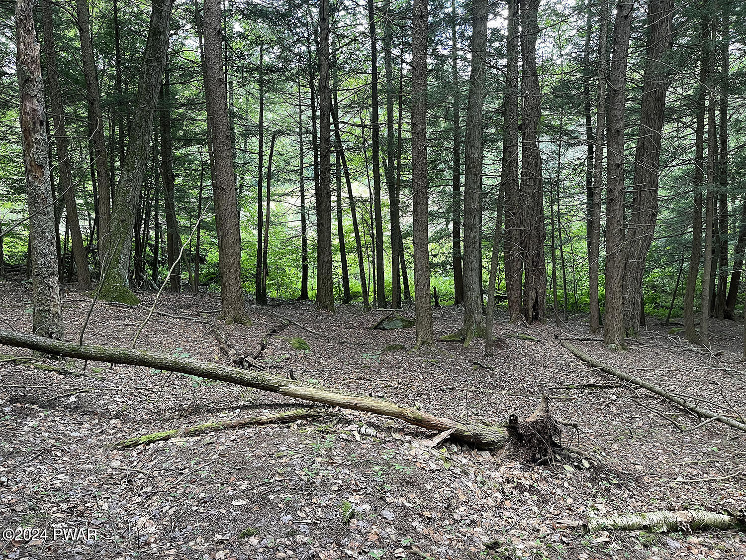 Rotten Road, Equinunk, Pennsylvania image 16