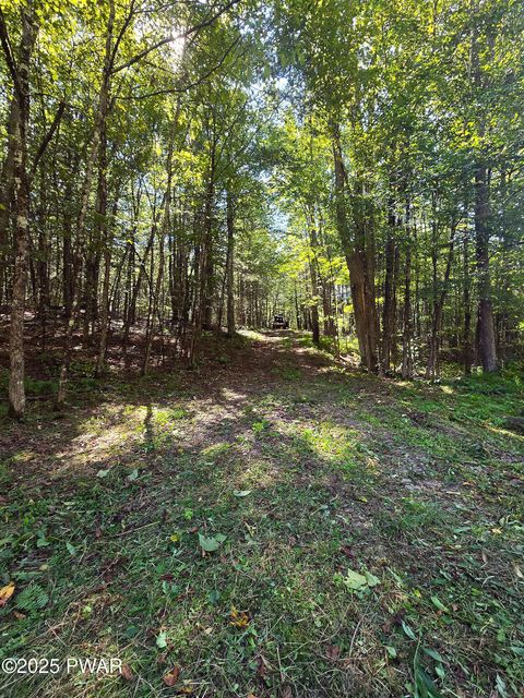 Vacant Land For Sale - 122 Robbs Road<br/> Damascus, PA 18415