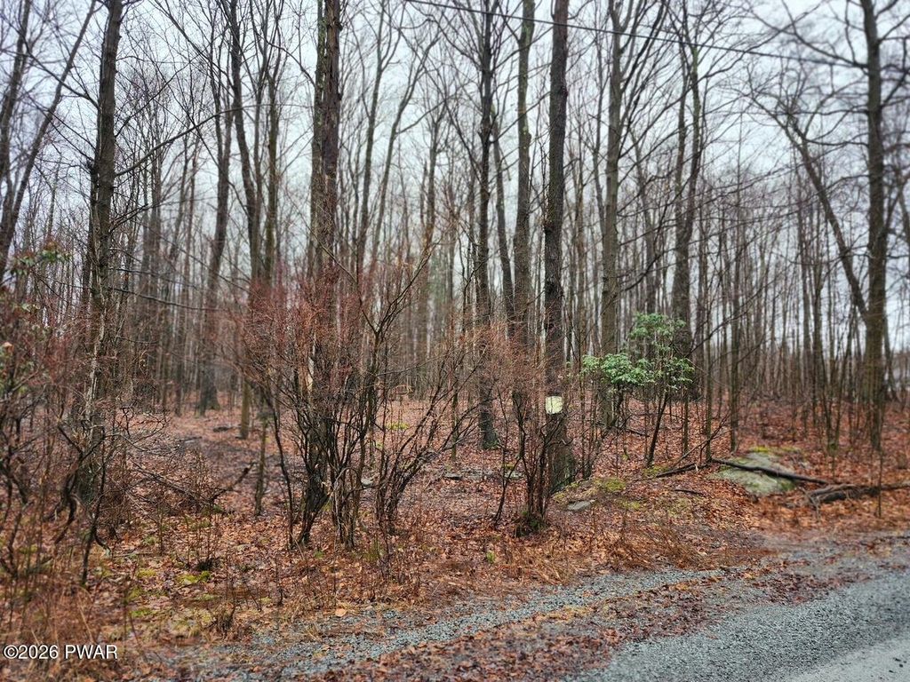 Photo of Horseshoe Drive, Honesdale, PA 18431 (MLS # PW260677)