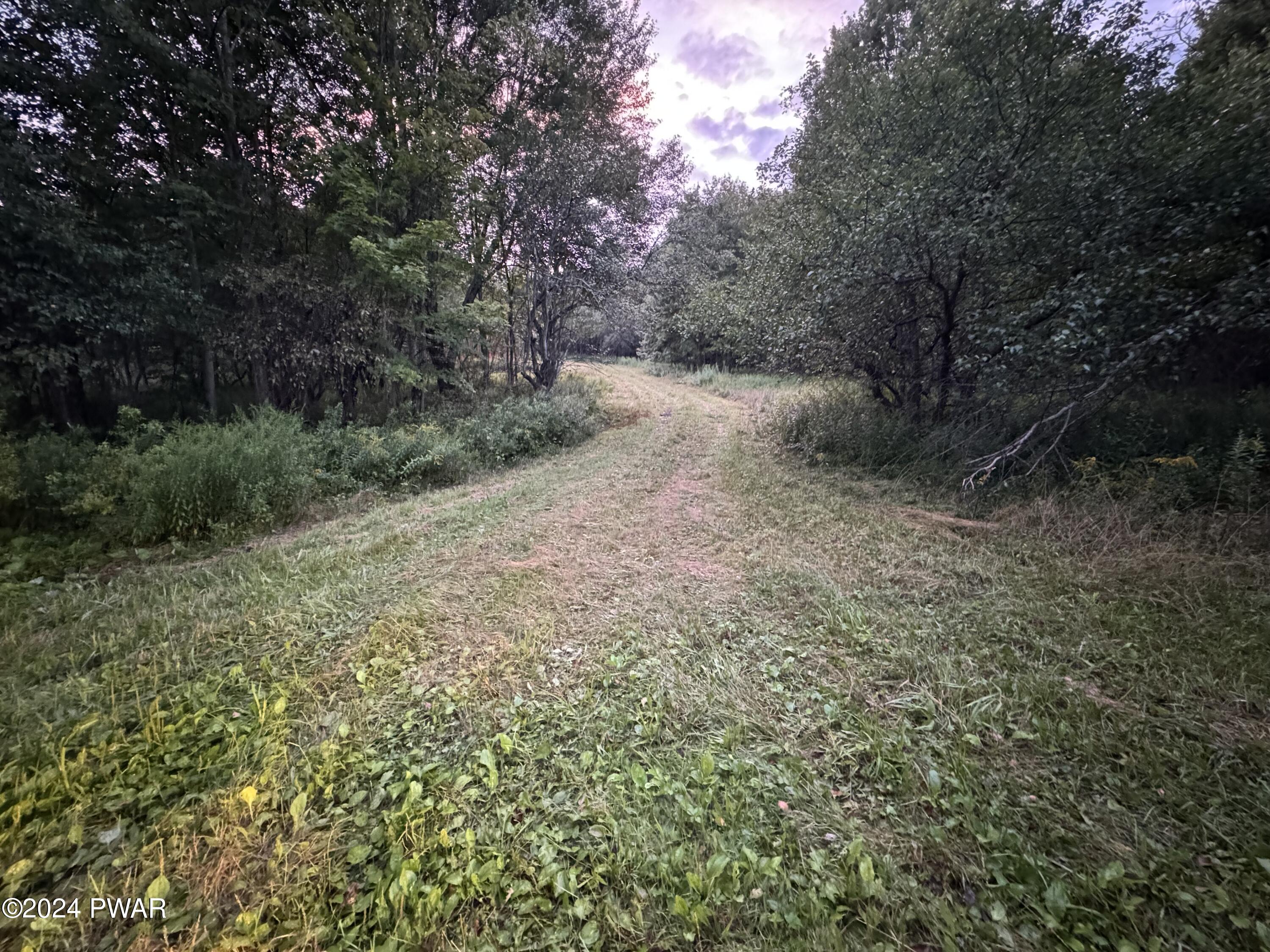 Svecz Road, Union Dale, Pennsylvania image 1