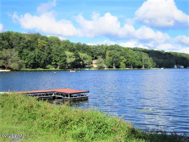 129 W. Shore Drive Drive, Hawley, Pennsylvania image 50