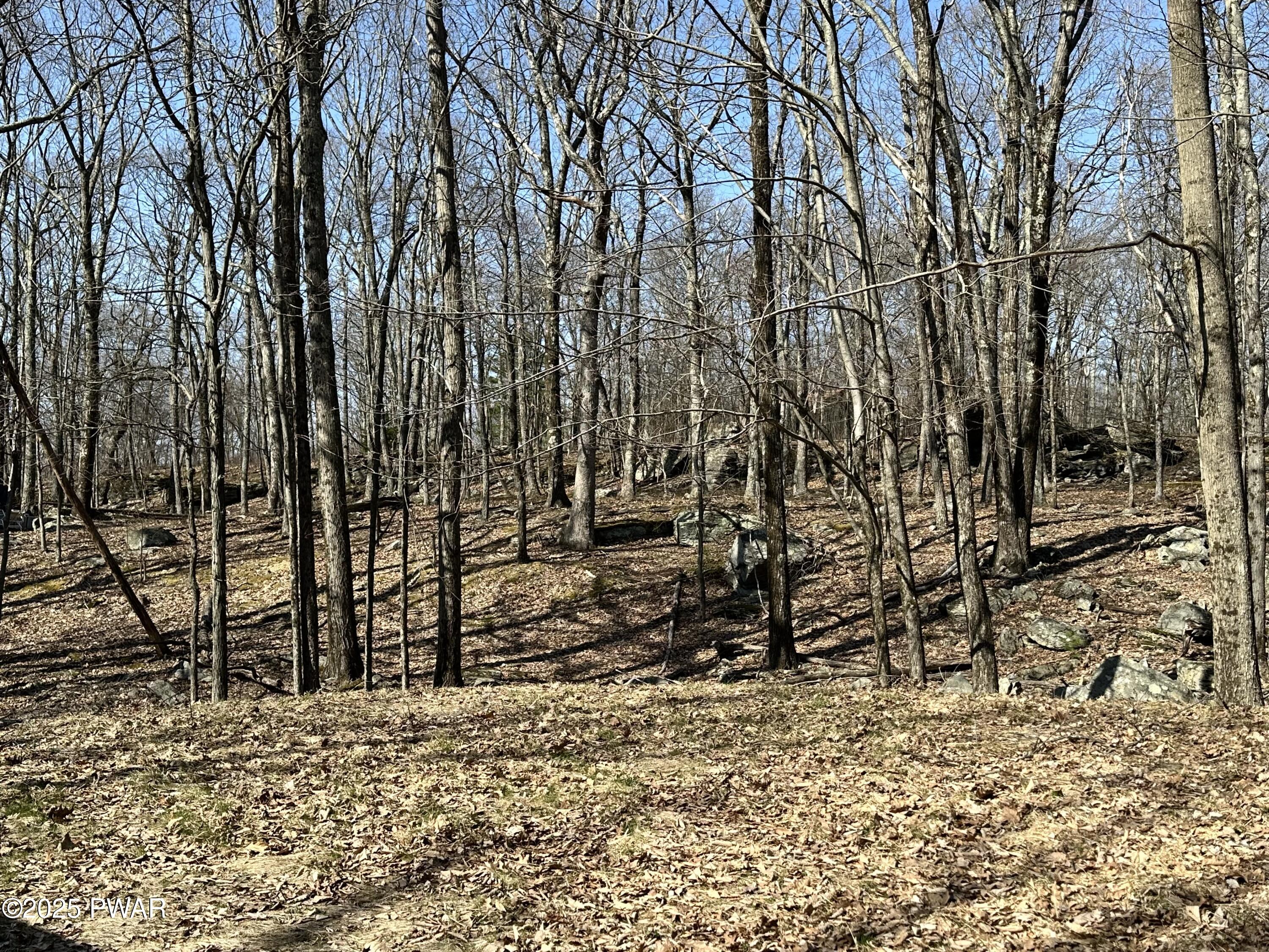 107 Ridgeway Drive, Hawley, Pennsylvania image 16